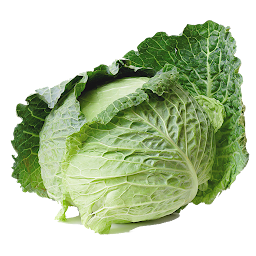 Icon image Cabbage from A to Z