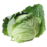 Cabbage from A to Z Apk