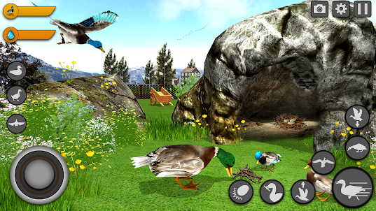 虛擬鴨家庭遊戲3D