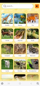 Real Animal sounds 4