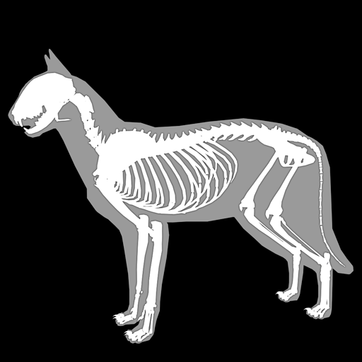 3D Cat Anatomy 2.02a Icon