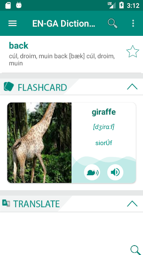 Android application Irish English Dictionary screenshort
