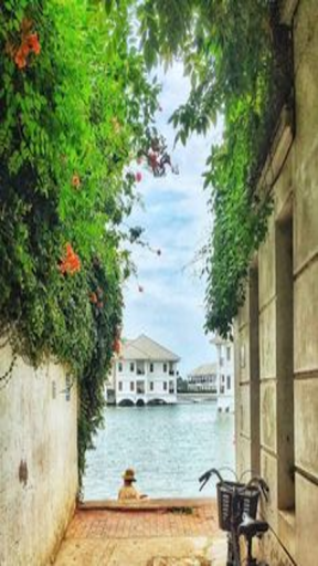 West Lake autumn wallpaper