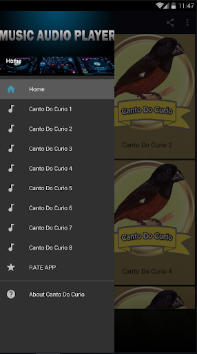 Curió Praia Clássico Cantos