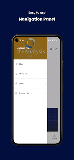The Analysis Hub Screen 2