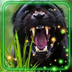 Cover Image of Tải xuống Panthers Sounds  APK