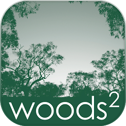 Icon image Woods Squared Limited