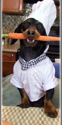Android application farmer dog food screenshort