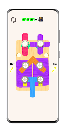 Screw Pins Puzzle-Nut and Bolt Screen 2