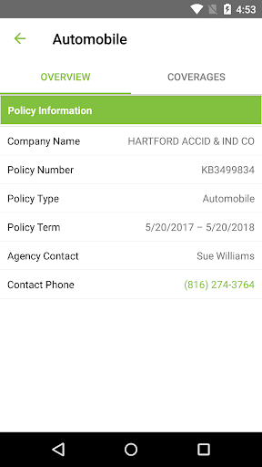 American Option Insurance Screen 2