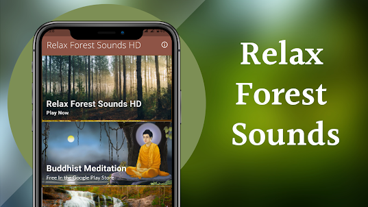 Relax Forest Sounds - Nature S