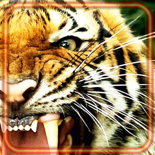 Tiger n Lion Sounds