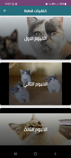 خلفيات قطط CATZ Screen 3
