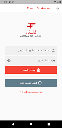 Flash (Business) Screen 3