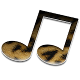 Leopard Music - Mp3 Player icon