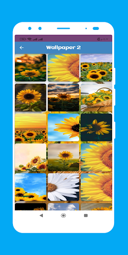 Flowers Wallpaper Screen 3