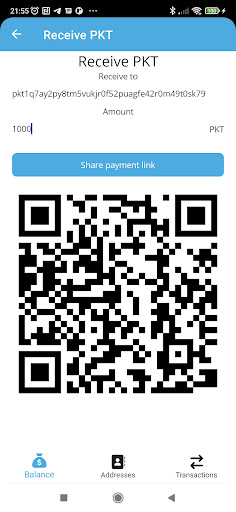 Pkt.world Wallet Screen 2