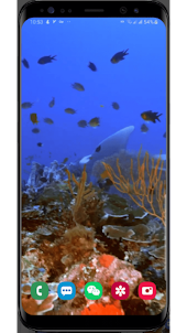 4D Real Aquarium Wallpaper