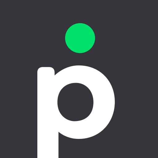 Plusdin logo