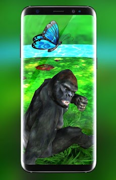 ゴリラ モンキー 住む 壁紙 ゴリラ 壁紙 Androidアプリ Applion