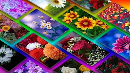 screenshot of Flowers Wallpaper