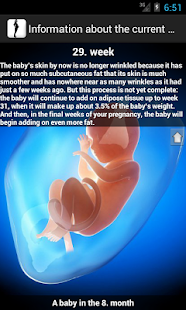 Pregnancy watcher widget  Screenshots 3