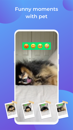 Aperçu de l'application