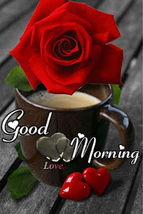 Good Morning Flowers and Roses Messages Images Gif
