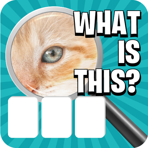 Zoom Pic: Close Up Pic Quiz  Icon