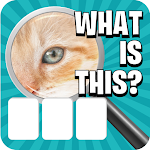 Cover Image of 下载 Zoom Pic: Close Up Picture Quiz 2021 2.4.1 APK
