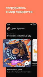 BOOM: VK Music Player MOD APK (Subscribed) 2