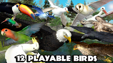 Ultimate Bird Simulatorのおすすめ画像2