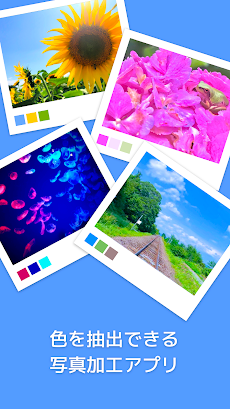 Picolor - 色を抽出できる写真加工アプリのおすすめ画像1