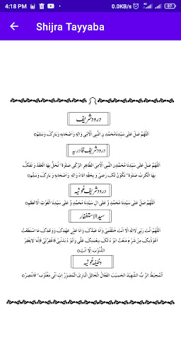 Shijra Tayyaba Mehervi Screen 3