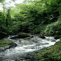 Icon image Green Forest Water LWP