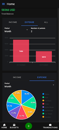 Alfonso Money Manager Screen 3