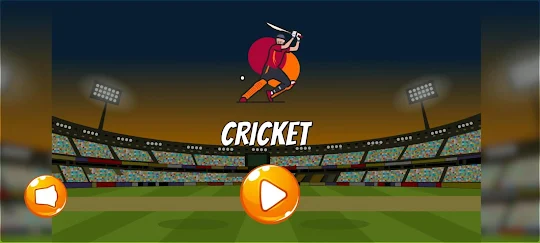 2D Cricket