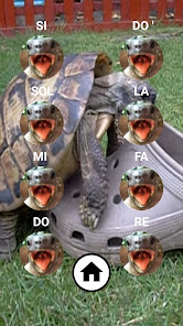 Captura 3 Aaah! Funny Turtle Sounds and  android