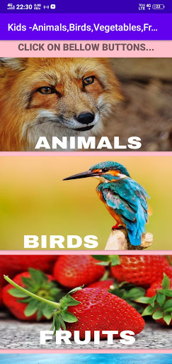 Kids - Animal,Birds,Fruits,Vegetables Names