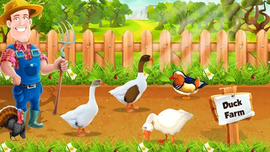 鴨農場養殖：雞蛋和雞家禽養殖