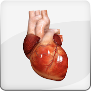 HeartMate 3™ LVAD AR App