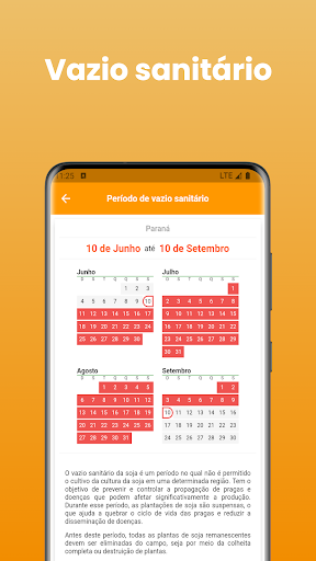 Soja - Consulta vazio Screen 3
