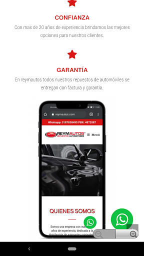 Reymautos SAS Screen 2