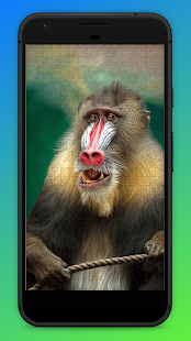 Monkey Jigsaw Puzzles - Primate Jigsaws 1.41 APK screenshots 4