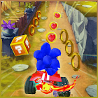Subway hedgehog Kart - Dash Racing 3.0