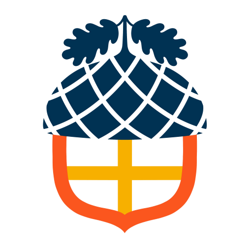 Aucoin Analytics LLC logo