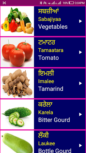 Android application Learn Punjabi From English screenshort