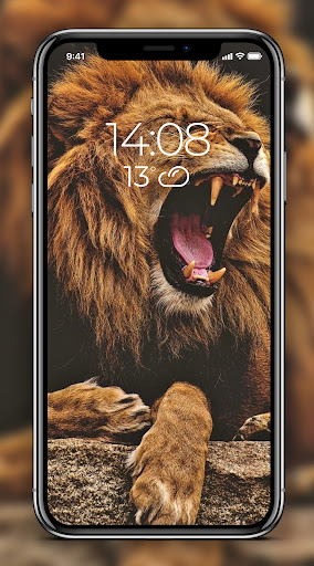 Lion Wallpaper
