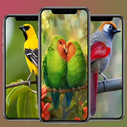 Bird Wallpapers logo