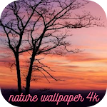 Cover Image of Download nature wallpaper 4k  APK